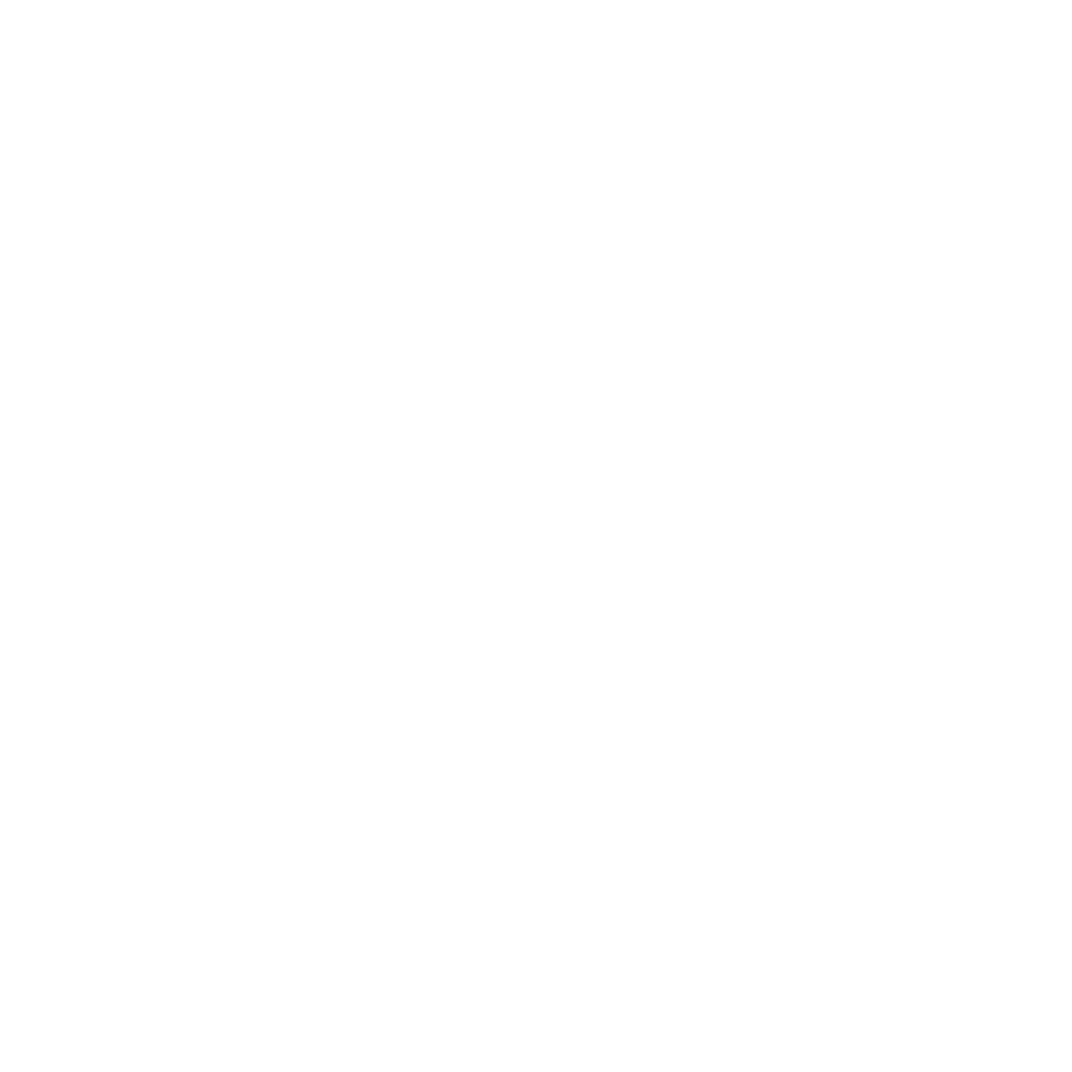 light logo